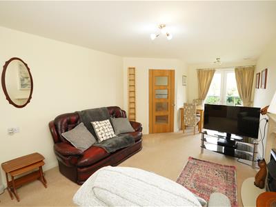 Picture 3